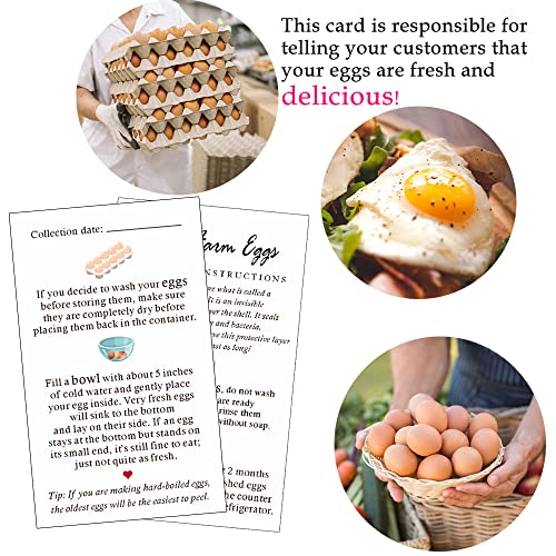 Fresh Farm Eggs Handling Instructions, Fresh Egg Care Card, Egg Handling Instructions For Farm Fresh Eggs, Colored Egg Design Card, 50 Pack 2 X 3.5" Inches Business Card Size #TOP4