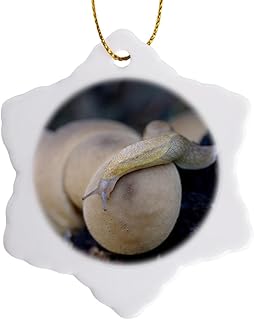 3 inch Snowflake Porcelain Ornament - Canada, Vancouver. Pear-Shaped Puffball, Reticulate Taildropper slug Canada