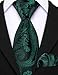 Barry.Wang Emerald Green Boys Tie School Pre-Tied Kid Necktie Handkerchief Clip Set Uniforms Child Ties for 8-14 Years Wedding Paisley