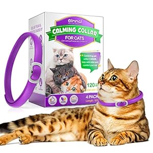 Abodiuss Beruhigendes Halsband für Katzen 4Pcs