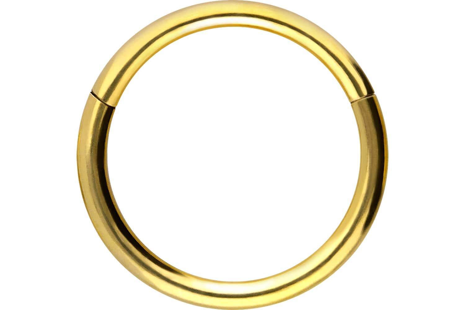 PIERCINGLINE Anillo segmento Clicker de acero quirúrgico – Piercing en oro, plata, rosa, negro o azul – para nariz, tabique, oreja, hélice o tragus — view 17