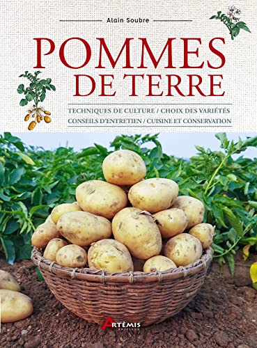 Pommes de terre: Techniques de culture / choix des variétés / conseils d'entretien / cuisine et conservation