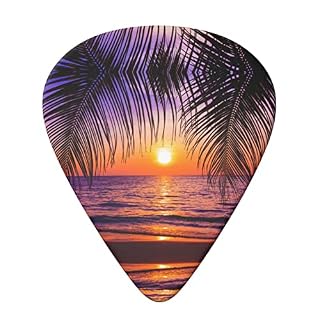 Sunset Ocean avec palmiers tropicaux Twilight Scenery Lot de 6 médiators pour guitare acoustique, guitare électrique… - Les Beatles, Paul McCartney, John Lennon, RIngo Starr, George Harrison Sunset Ocean avec palmiers tropicaux Twilight Scenery Lot de 6 médiators pour guitare acoustique, guitare électrique… – Image 3