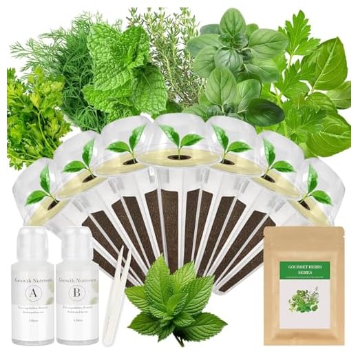 7‑Pod Gourmet Herb Seed Kit