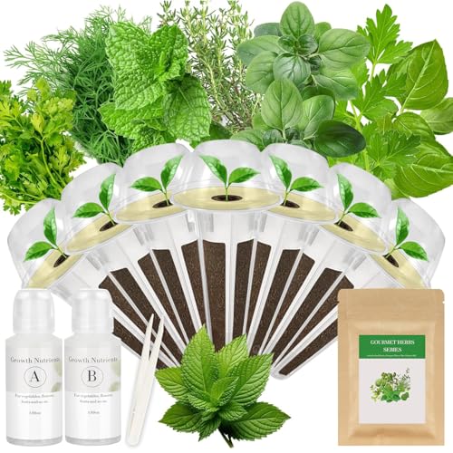 Gourmet Herb Seed Pod Kit for AeroGarden, idoo, Ahopegarden, MUFGA with Basil, Parsley, Thyme, Mint,...