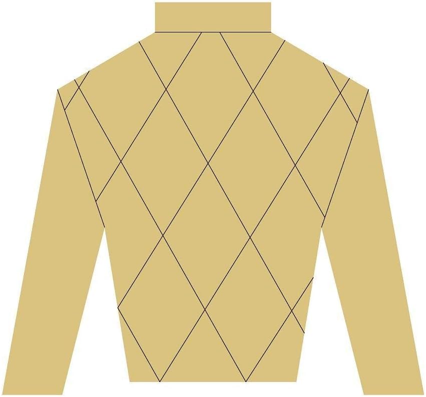 Jockey Silk Design by Lines Cutout Unfinished Wood Derby Horse Racing Triple Crown Door Hanger MDF Shape Canvas Style 1 Art 10 (18)