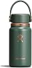 Hydro Flask – Micro Hydro 200 ml (6.7 oz) – Leakproof, Insulated Mini Flask with Clip-On Strap – Cold & Hot Up to 7 Hrs – Compact & Durable – Forest Green