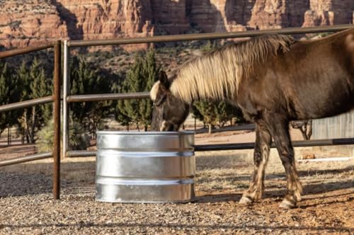 70 Gal. 2 ft. x 2 ft. x 3 ft. Livestock Tank Galvanized Steel