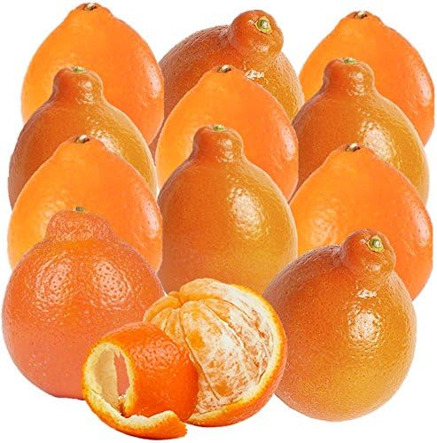 Florida Honeybell Oranges (Tangelos) by Organic Mountain