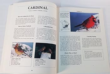 Hardcover The Bird Feeder Book