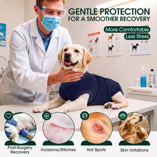 Image of Kuoser Dog Surgery Suit Female Spay, Dog Recovery Suit Male Neuter