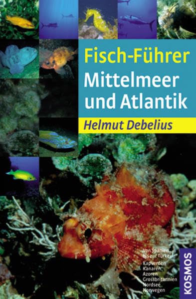 Fisch-Führer Mittelmeer und Atlantik