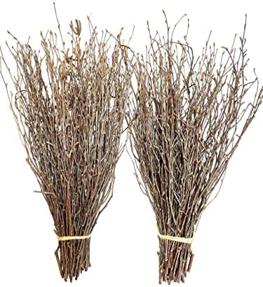 ECOVENIK 100 psc. Birch Twigs - 100% Natural Decorative Birch Branches for Vases, Centerpieces & DIY Crafts - Birch Sticks for Decorating (17-18 Inch)