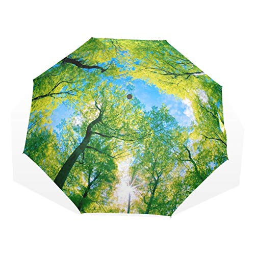 SAMAU �܂肽���ݎP �X ���i �X�ѕ� ��J�� �y�� ���J���p ���[�|�[�`�t��