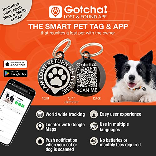 Max & Molly Gotcha! Hundehalsband Halsband Hund mit Smart ID, gepolstertes Neopren Halsband mit Design für kleine Hunde, wasserdicht, bequem, verstellbar, Tropical, S