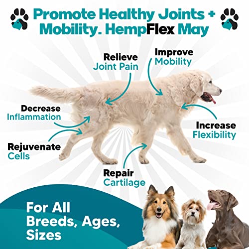 HempFlex - Glucosamine Chondroitin for Dogs - Hemp Oil for Dogs - Safe, All-Natural Dog Joint Supplement - 120 Mobility Hemp Dog Treats - Hip & Joint Support for Dogs - Dog Arthritis Pain Relief - Image 3
