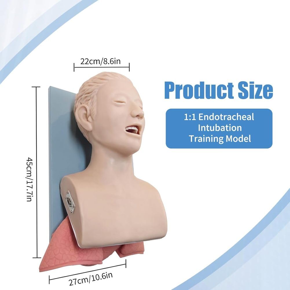Modello di allenamento per intubazione tracheale, simulatore elettronico anatomico per adulti con allarme di pressione per la gestione delle vie aeree orofaringee