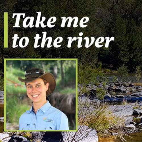 How mangroves are saving Queensland's Caboolture River, with Margie Dickson
