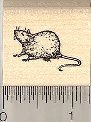 Rat Line Art Simple Mouse Rubber Stamp