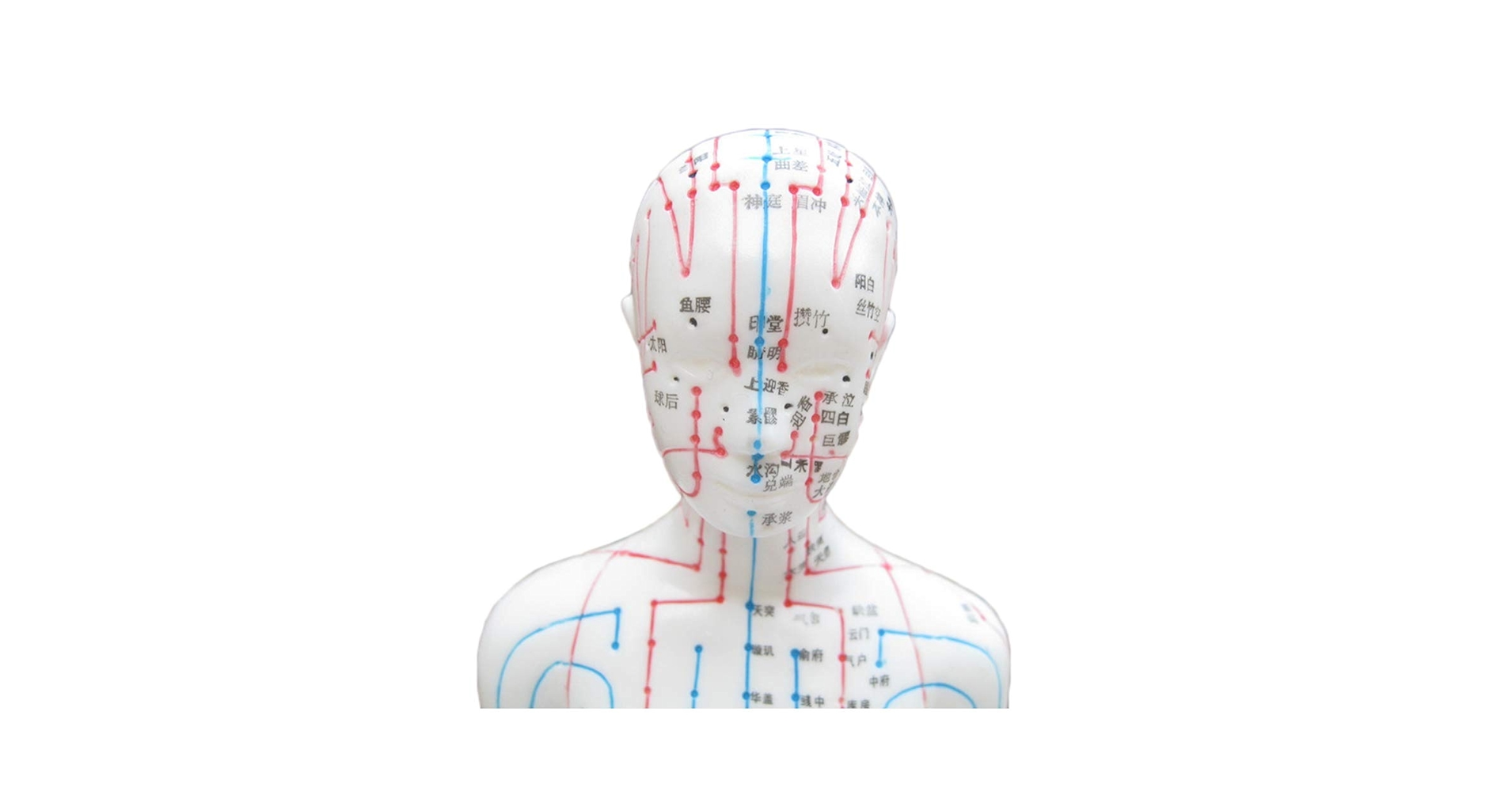 鍼灸力学　経絡の秩序と経穴力の研究 鍼灸力学 経絡の秩序と経穴力の研究(馬場白光) / 古本、中古本