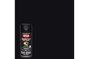Krylon Satin Black Touch Up Paint for Indoor/Outdoor Use