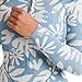 Billabong, Salty DayZ Lite Natural Long-Sleeve Spring Wetsuit - Women's, Blue Shadow, XXS