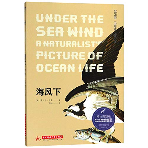 Image of Under the Sea-Wind (Chinese Edition)
