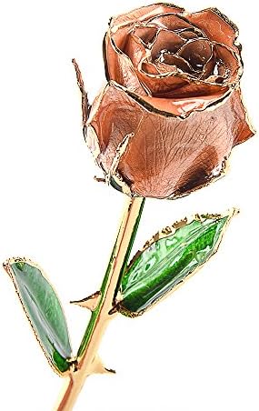 M Dream Valentine Gifts for Her, Long Stem Trimmed 24K Gold Dipped Real Rose Champagne 11 Inches Set of 1,Best Gift for Valentine's Day, Mother's Day, Anniversary, Birthday