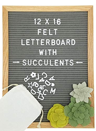 Letter Board -374 Letters, 3 Felt Succulents, Wall Mount & Canvas Bag | Word Board | Letterboard | Sign Board | Changeable Felt Message Board | Marquee Sign | Felt Board (Gray, 12 x 16)