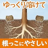 花ごころ B000IAA17Y lato 3