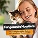 Spot On Repellent - 3 Tuben - Gegen Flöhe, Zecken, Läuse - Für Katzen und Hunde - Zum direkten Auftragen auf die Haut - Zeckenschutz Katze - Zeckenschutz Hund - Zeckenmittel (L (20-30 KG))
