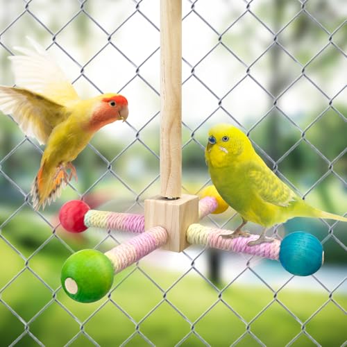 Image of Bird Spinner Toy, Tyotrbs Bird Perch Toy, Parrot 360 Interactive Rotating Toy, Budgie Cage Accessories for Small Birds to Expend Energy, Wooden Stand for Parakeet Cockatiel Lovebird Conures