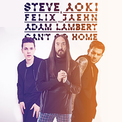 Steve Aoki & Felix Jaehn feat. Adam Lambert