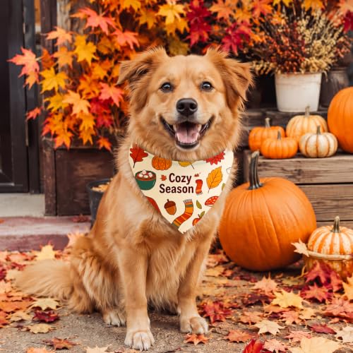 Image of Abbylike 50 Pcs Fall Dog Bandanas Bulk Autumn Leaf Pumpkin Acorn Mushroom