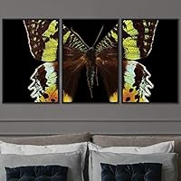 3 Piece Framed Canvas Wall Art Colorful Butterfly Insects Canvas Prints Home Artwork Decoration for Living Room,Bedroom - 16