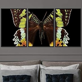 signwin 3 Piece Framed Canvas Wall Art Colorful...