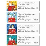 Colorful Images Snoopy Four Seasons Peanuts Return Address Mailing Labels, Personalize with Name & Shipping Address, Set of 240 Self Adhesive, Easy Peel Flat Sticker Label Sheets, Small, 4 Designs
