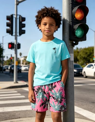 Image of Boys' 2 Piece Summer Outfit Cool Dinosaur & Camouflage Graphic Short Sleeve Tee & Shorts Set Size 4-12