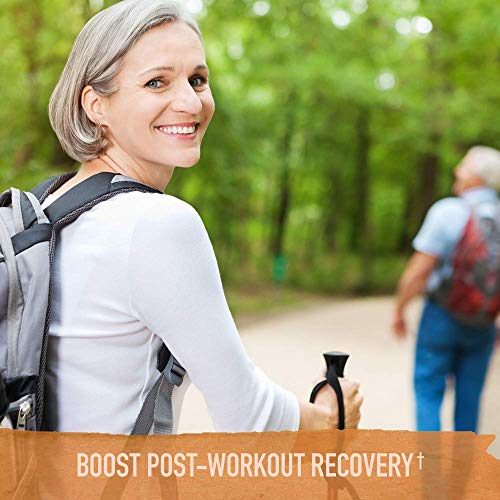 Garden-of-Life-mykind-Organics-Turmeric-Booster-Inflammatory-Response-Powder-30-Servings-50mg-Curcumin-95-Curcuminoids-Probiotics-Organic-Non-GMO-Vegan-Gluten-Free-Herbal-Supplements