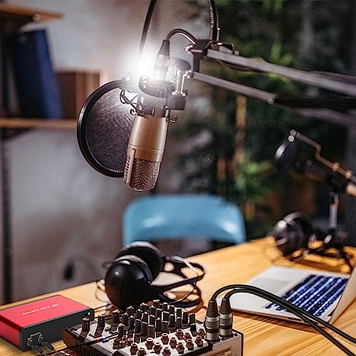 OseTub Standard XLR Microphone Cable, Extra Long XLR Cable XLR Male to Female Mic Cable 3-Pin Balanced Shielded for Recording Studios, Performances, and Live Shows (98FT)