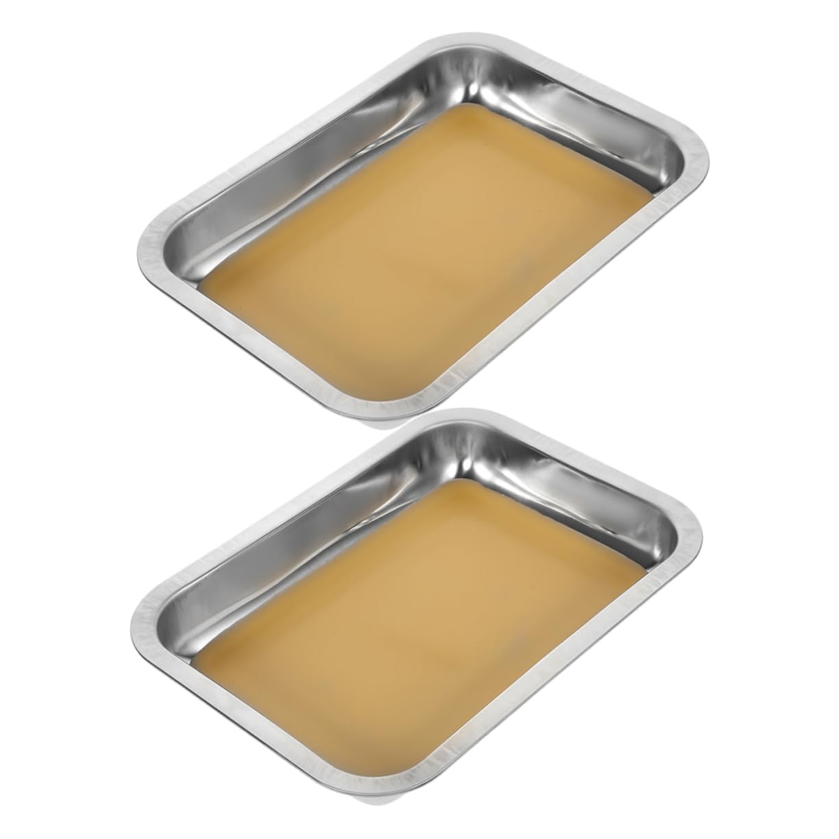 YARNOW Plateau De Dissection en Acier Inoxydable 2 Pièces : Plateau De Dissection Recouvert De Cire pour La Recherche Scientifique, Médicale Et Anatomique – Idéal pour Les Écoles Et Les