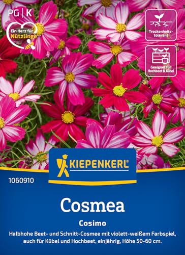 Kiepenkerl Cosmossamen Cosimo 1060910 - Charmantes violett- weißes Farbspiel im Garten zieht Bienen & Schmetterlinge an - Wildblumensamen Blumenwiese