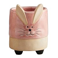 Amazon.co.jp: 47th & Main Flower 屋内植物 | セラミック