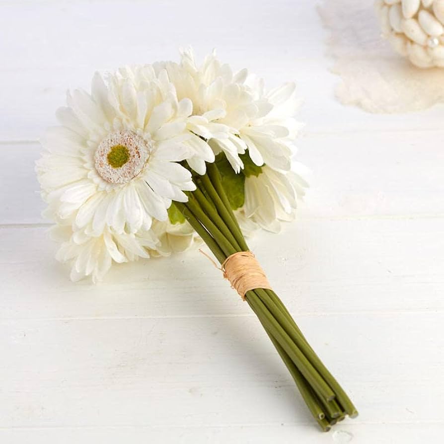 Gerber Daisy White Couple