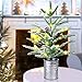 Small Christmas Tree 24 inch Mini Christmas Tree Pre-lit with 60 Lights Rustic Style Tabletop Tree 2 ft