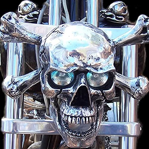ASYCAN Motorcycle Skull Headlights Covers for Custom Car Truck Jepp, Universal LED Motorcycle Skull Lamp, Auto Decorative Protective Head Light, for Motorcycle Decorations (Color : Not Glow)