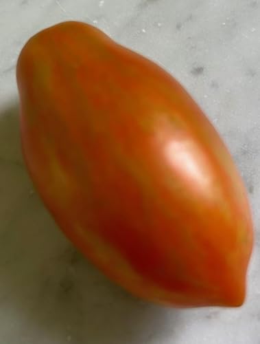 Semillas de tomate Prairie Fire (25 semillas), pleno sol, fruta anual, jardín de colina empinada