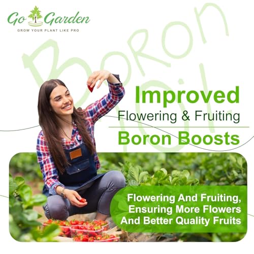 Image of Go Garden Boron 20% Micronutrient Fertilizer for Plants 250g | Water Soluble Boron Powder | Supports Flowering, Fruit Development & Vegetable Growth | Suitable for Garden, Nursery & Agriculture Use