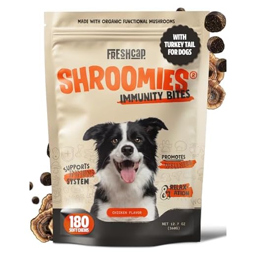 Comprehensive Dog Mushroom Supplement