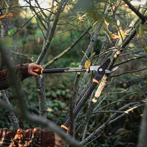 Image of Fiskars Bypass Lopper, Lightweight Tree Pruning Tool, Rust Resistant and Low Friction Coating, SoftGrip Handle Control with Shock-Absorbing System, 24 inch